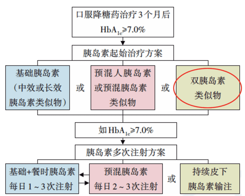 新澳門最新開獎(jiǎng)結(jié)果記錄歷史查詢,具體操作步驟指導(dǎo)_D版73.646