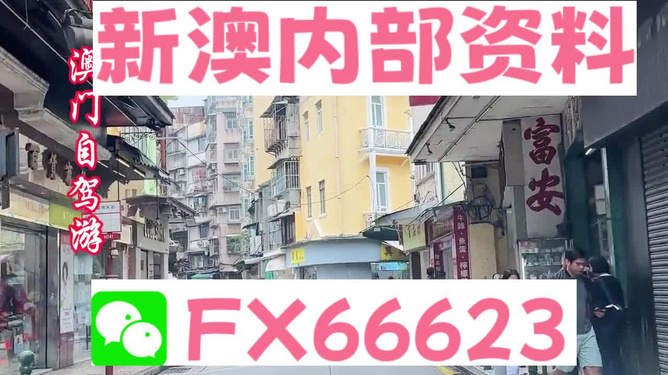 新澳資料最準的網(wǎng)站,經(jīng)典解釋落實_領(lǐng)航版26.885