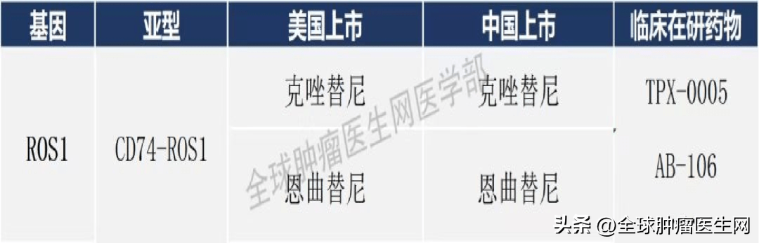 靶向藥2023價格一覽表,實地計劃驗證策略_Z78.763