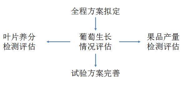 2024新奧歷史開獎記錄香港,可行性方案評估_復(fù)原版33.716