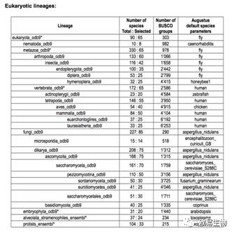 2024新澳免費資料成語平特,安全評估策略_白銀版27.509