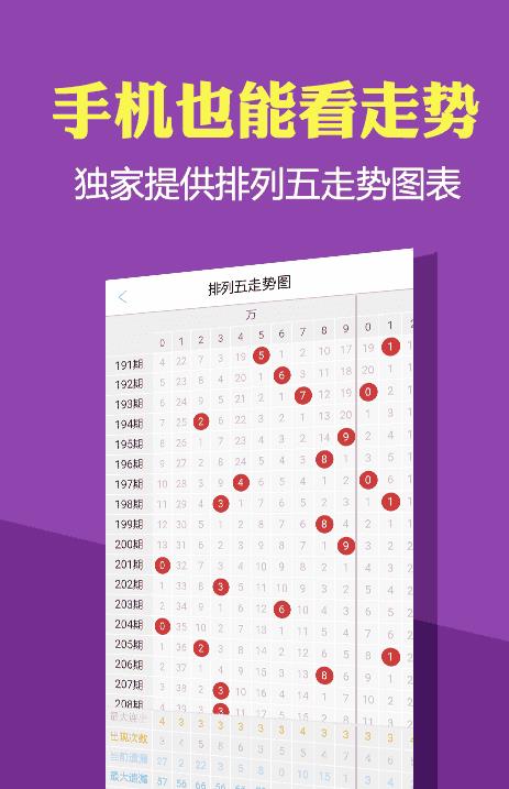 一碼一肖100準(zhǔn)正版資料,實效策略方案_合適版34.113