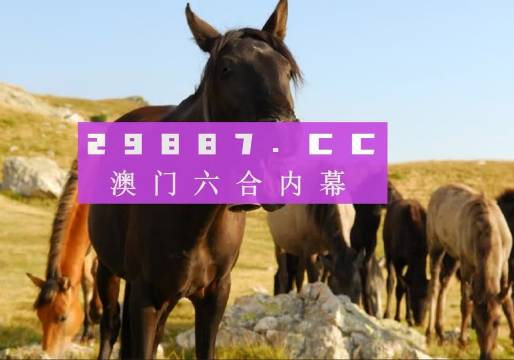 管家婆澳門一肖一碼100精準(zhǔn)2023,經(jīng)典解釋落實_解密版41.431