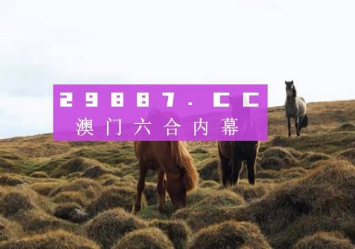 澳門4949開獎(jiǎng)現(xiàn)場直播+開,確保問題說明_設(shè)計(jì)型18.843