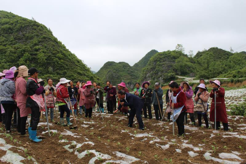 畢節(jié)田壩橋鎮(zhèn)全新規(guī)劃揭曉，打造未來(lái)城市新地標(biāo)